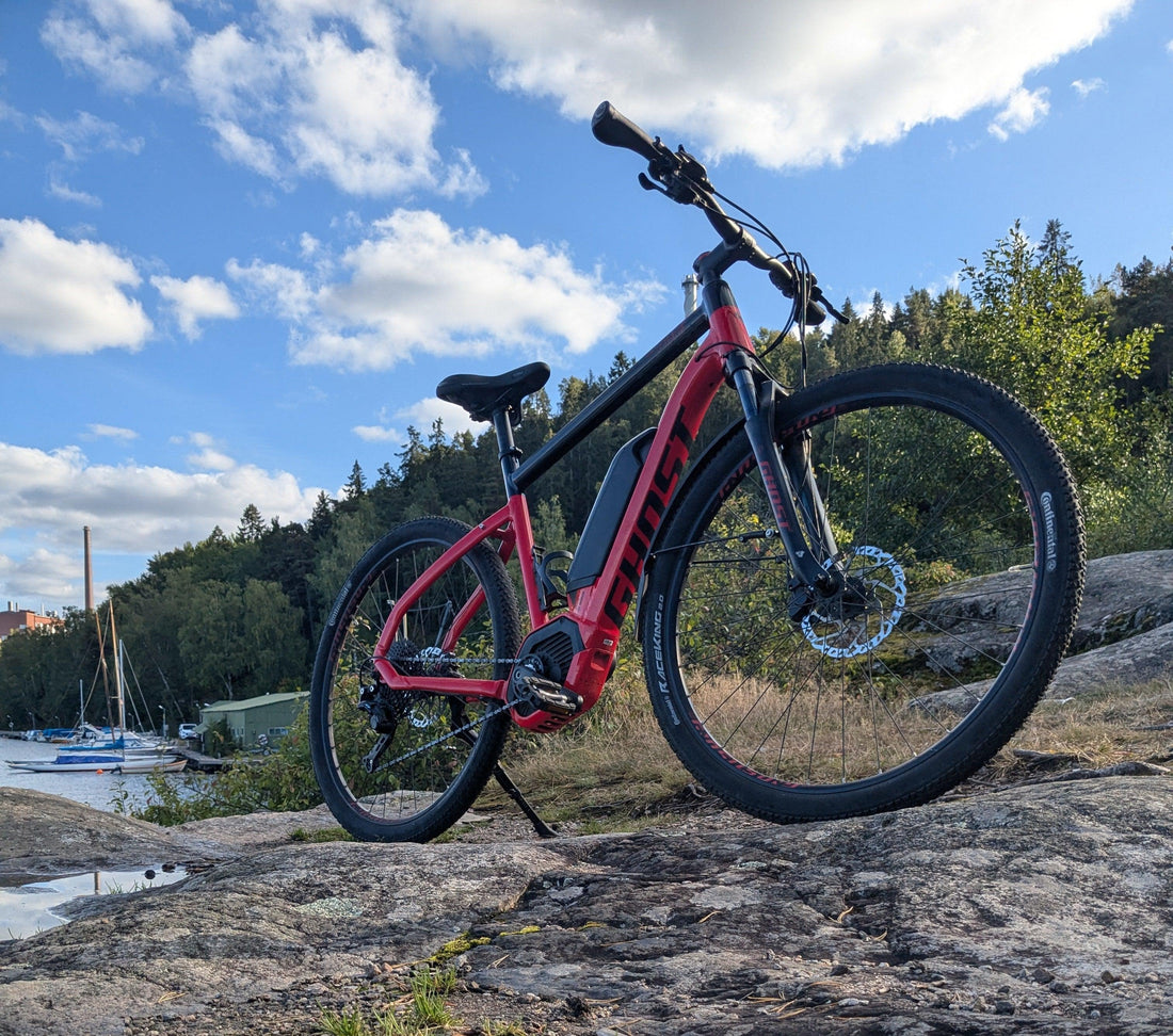 Elcykelns påverkan på hjärt- och mental hälsa